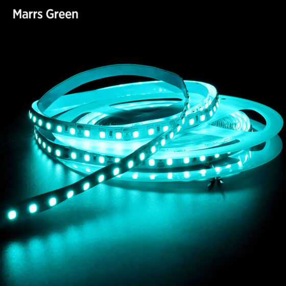 2835X120 8MM 10W 5LED Color 05